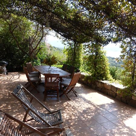 Villas Valinco San Martinu Corse Du Sud - Vue Et Proche Mer - Piscines-7 Chambres Олмето Стая снимка