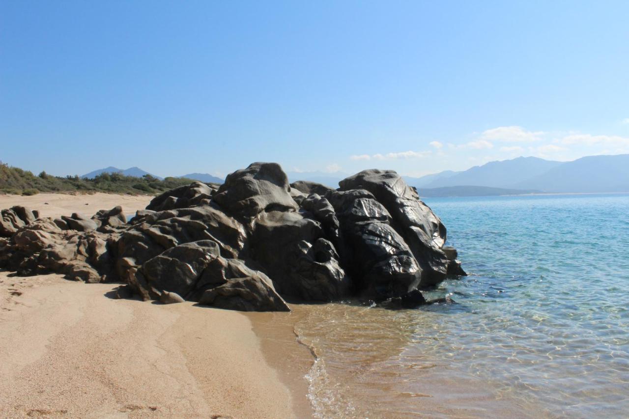 Villas Valinco San Martinu Corse Du Sud - Vue Et Proche Mer - Piscines-7 Chambres Олмето Екстериор снимка