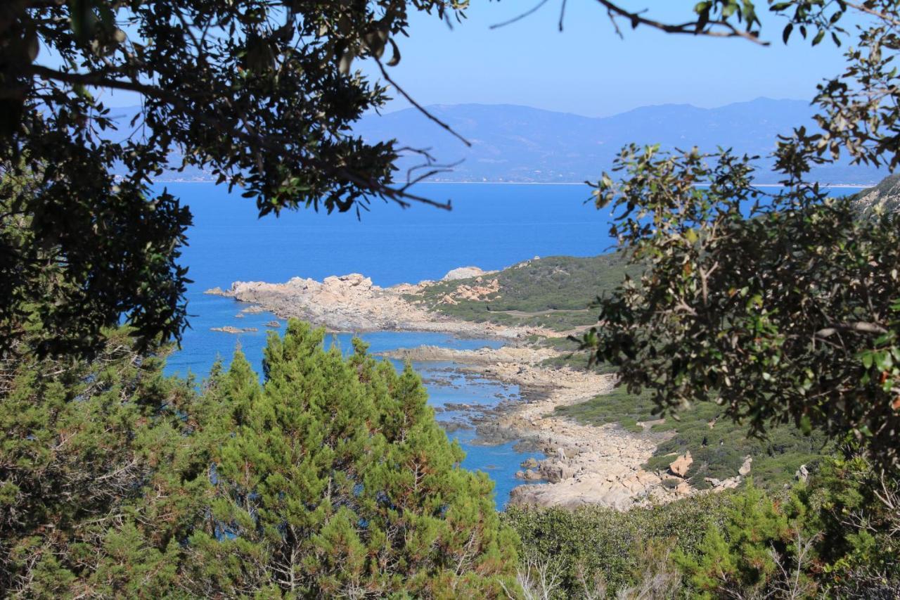 Villas Valinco San Martinu Corse Du Sud - Vue Et Proche Mer - Piscines-7 Chambres Олмето Екстериор снимка